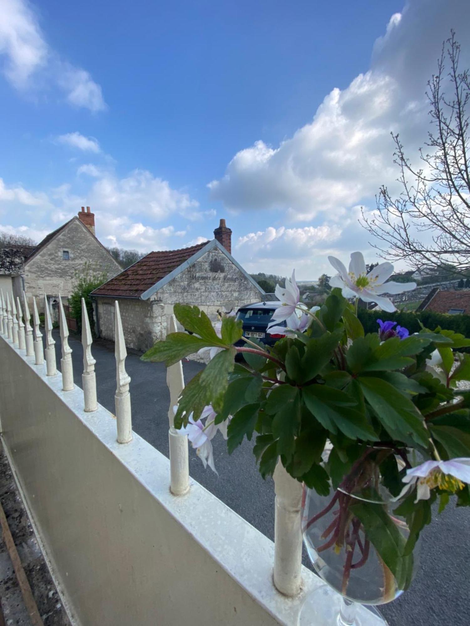 Le Manoir Des Roches Bed & Breakfast Bourre Exterior photo